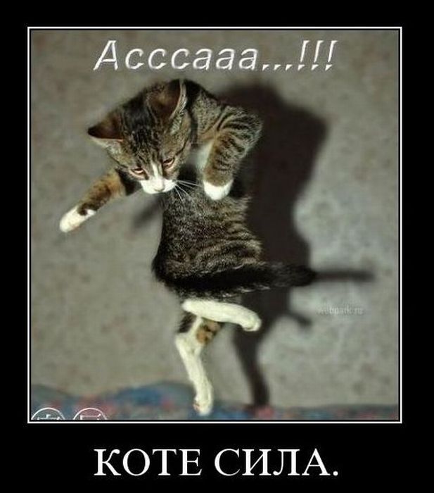 Демотиваторы приколы