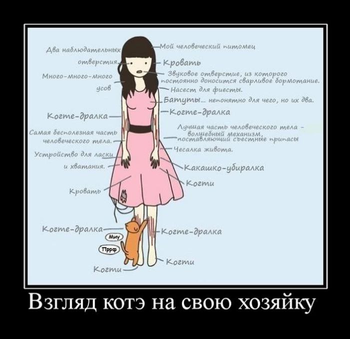 Демотиваторы приколы