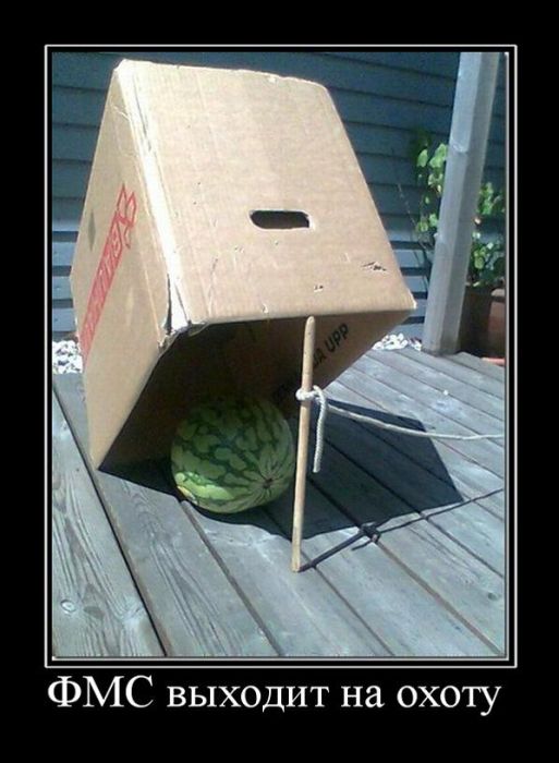 Демотиваторы приколы