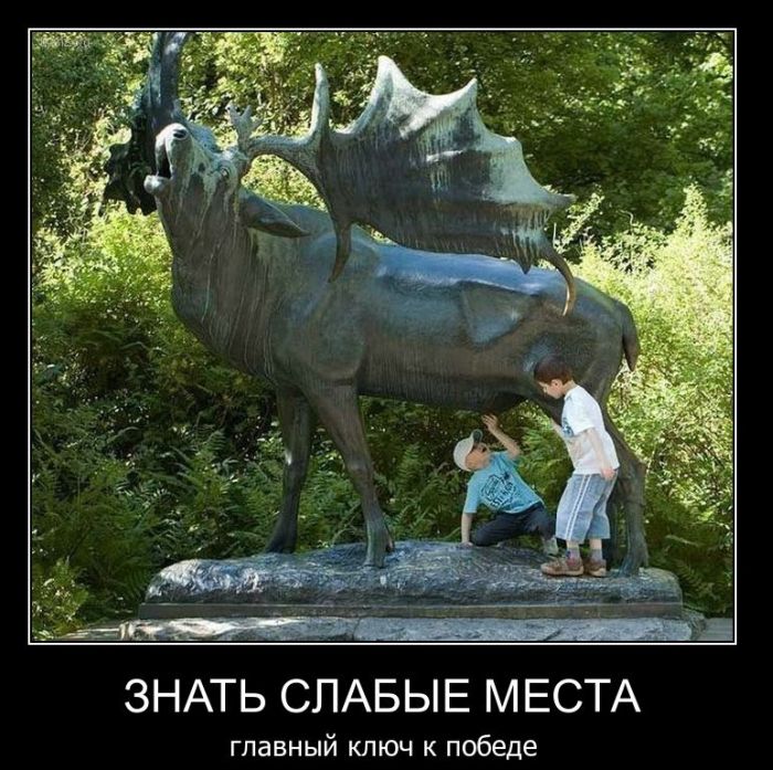 Демотиваторы приколы