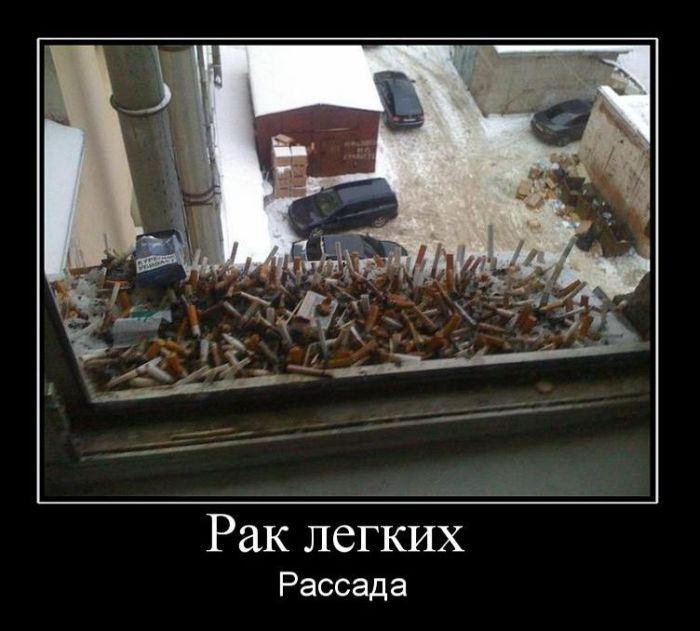 Демотиваторы приколы