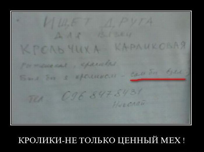 Демотиваторы приколы