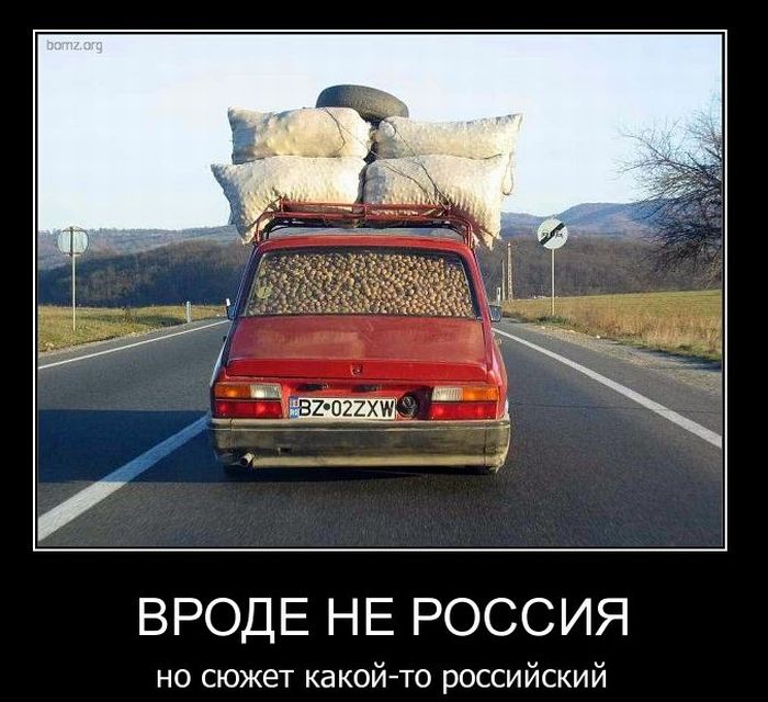 Демотиваторы приколы