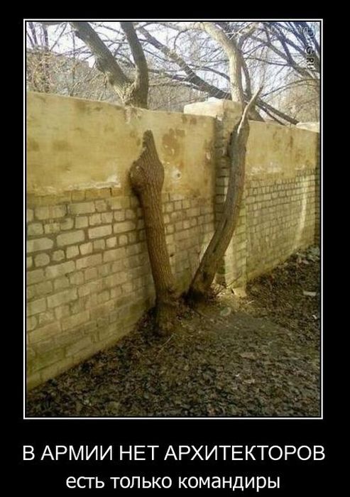 Демотиваторы приколы