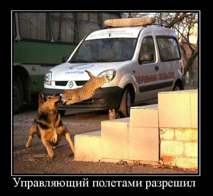 Демотиваторы приколы