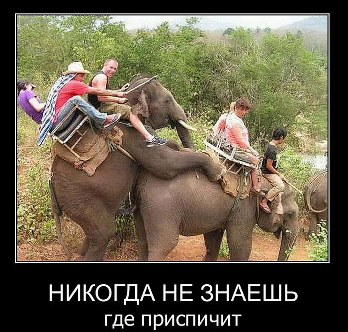 Демотиваторы приколы