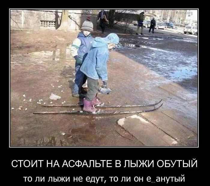 Демотиваторы приколы