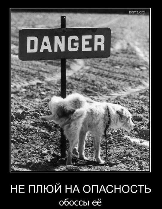 Демотиваторы приколы