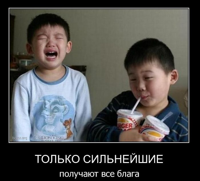 Демотиваторы приколы