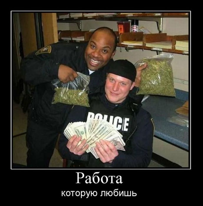 Демотиваторы приколы