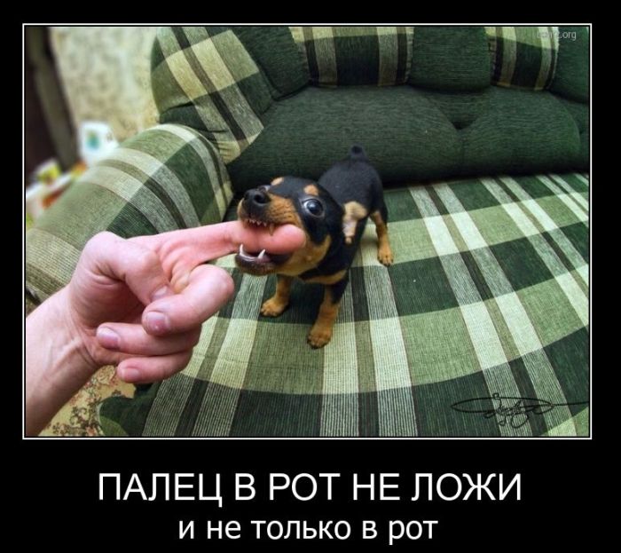 Демотиваторы приколы