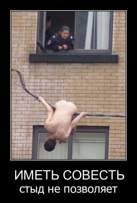 Демотиваторы приколы