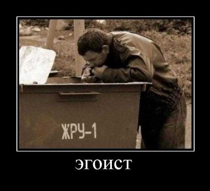 Демотиваторы приколы