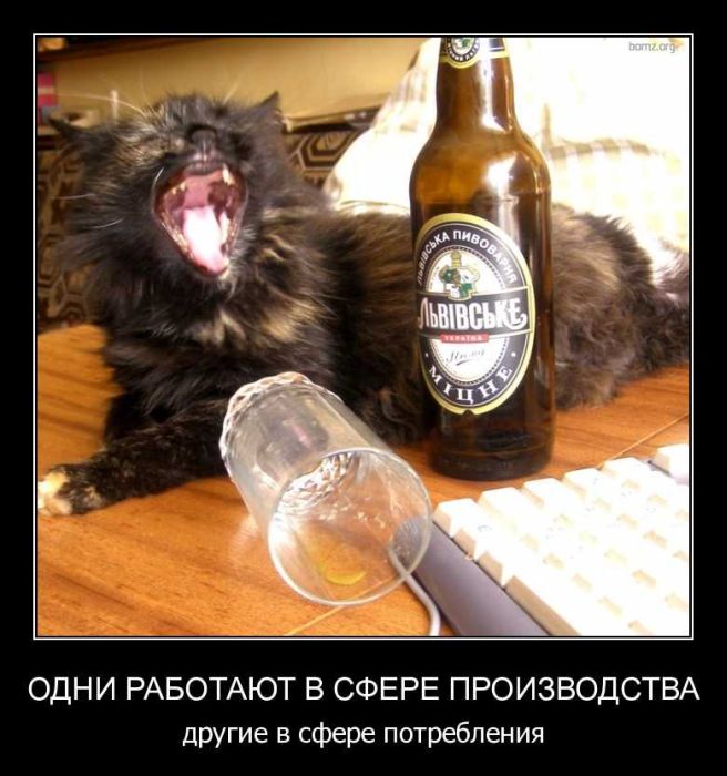 Демотиваторы приколы