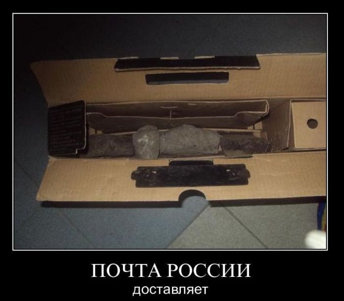 Демотиваторы приколы