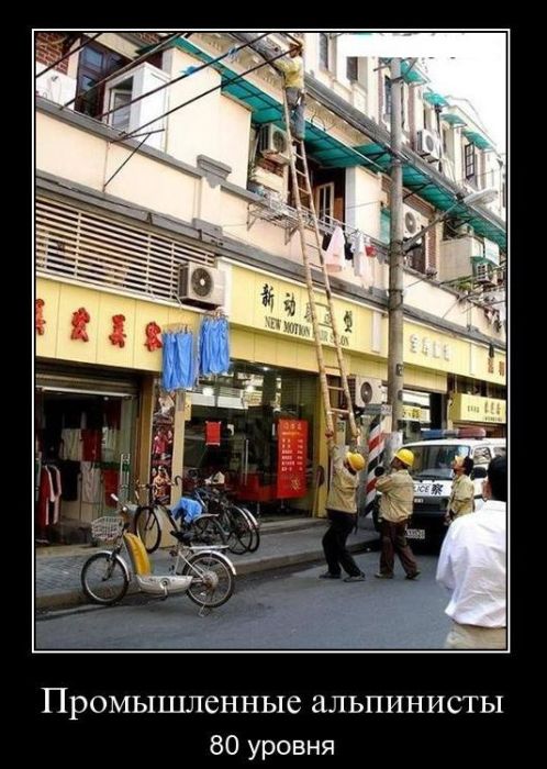 Демотиваторы приколы