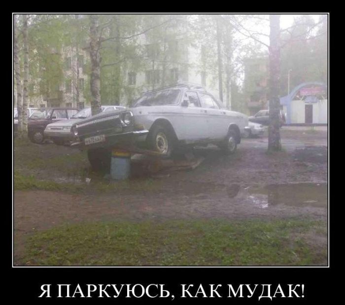 Демотиваторы приколы