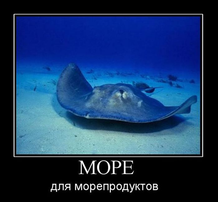 Демотиваторы приколы
