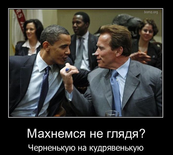 Демотиваторы приколы