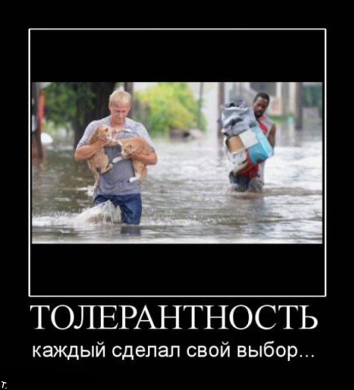 Демотиваторы приколы