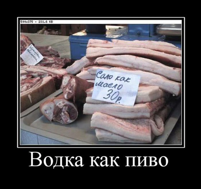 Демотиваторы приколы