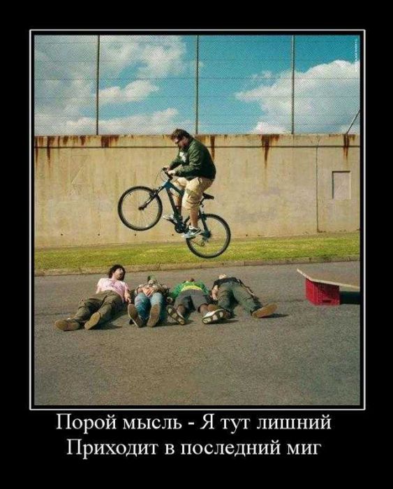 Демотиваторы приколы