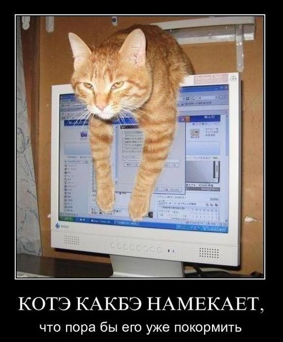 Демотиваторы приколы