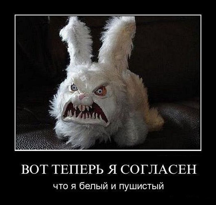 Демотиваторы приколы