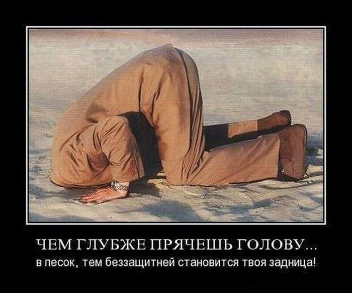 Демотиваторы приколы