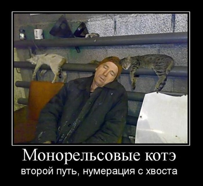 Демотиваторы приколы