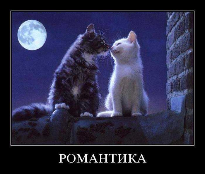 Демотиваторы приколы