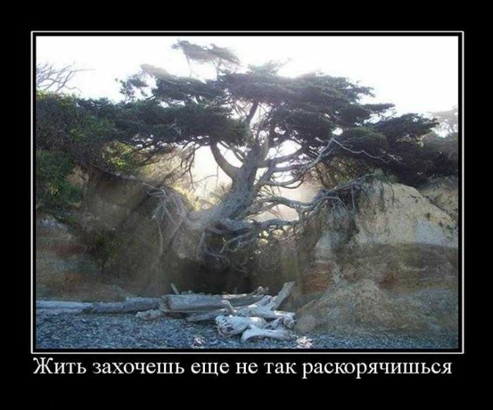 Демотиваторы приколы
