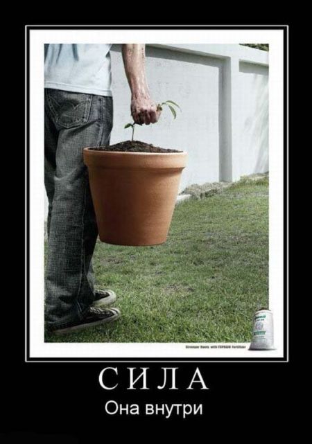 Демотиваторы приколы