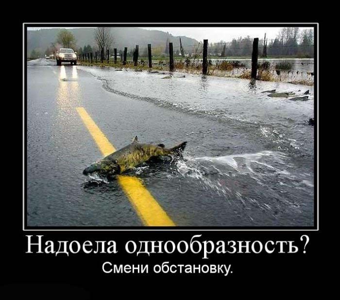 Демотиваторы приколы